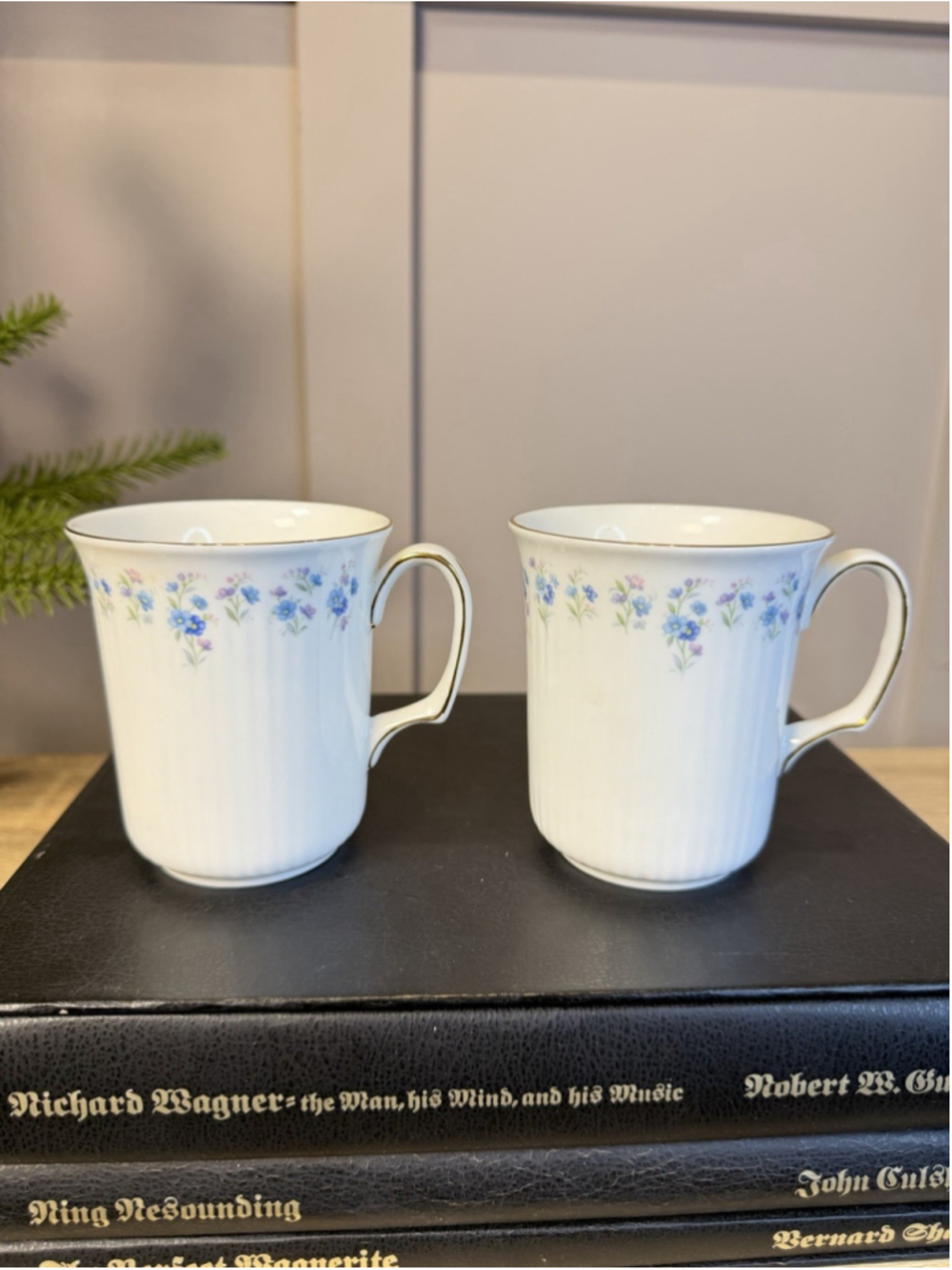 Royal Albert Memory Lane Bone China Bristol Mug Set of 2 Mugs